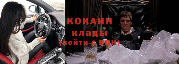 твердый Арсеньев