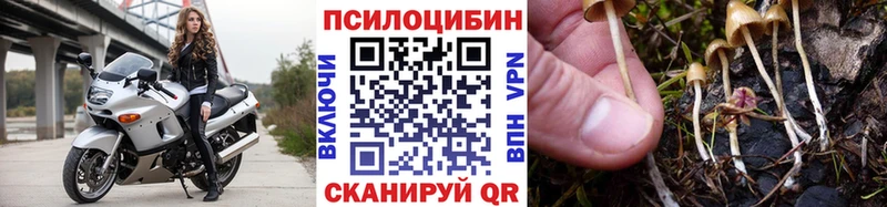 Галлюциногенные грибы прущие грибы Александровское